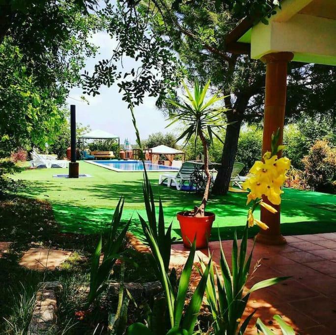 Hotel Quinta Infantes De Santa Maria Alcantarilha Zewnętrze zdjęcie